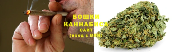 амф Надым