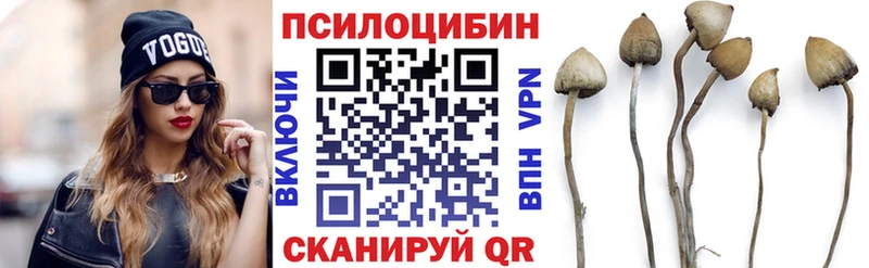 omg зеркало Калтан Псилоцибиновые грибы MAGIC MUSHROOMS